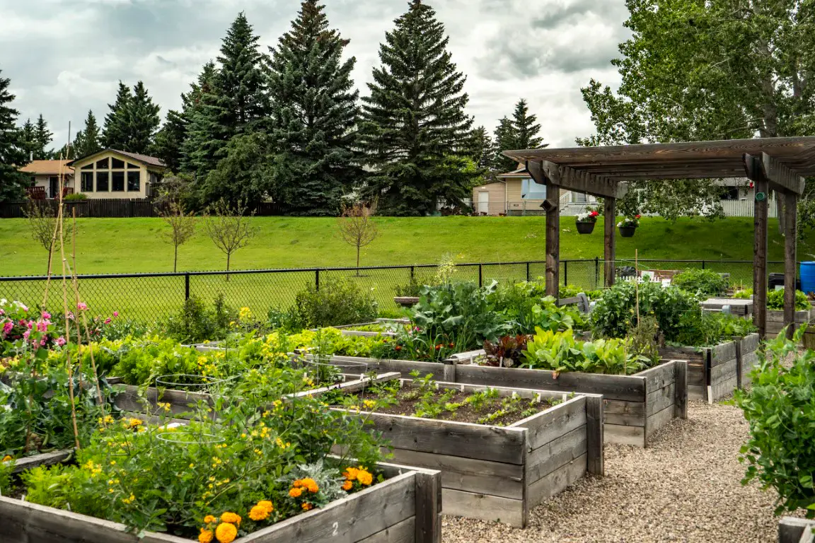 Silver Springs community scene 2